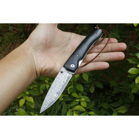 Damascus Blade Material Black Swallow Ebony Handle Outdoor Knife Hunting Hiking Survival Knife UD405493